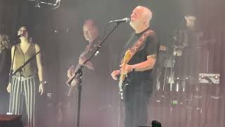 David Gilmour - Comfortably Numb, Madison Square Garden (KT's View) 11/10/2024