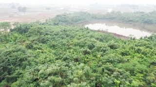 Flying a drone over green forest at Purbachal New City Dhaka