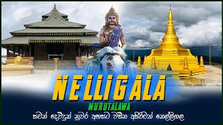 Nelligala Temple | Murutalawa  | Nelligala International Buddhist Center | Dote Traveler