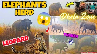 ELEPHANTS HERD K SATH IK ZALAK LEOPARD BHI DEKH LIYA GUEST NE 🤩 #yuvrajjimcorbett