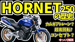 ホーネット250の歴史をゆっくり解説