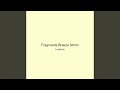 Fragments Breeze Storm