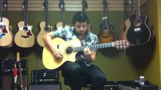 Milo Velandia Demos the Taylor NS34 ce