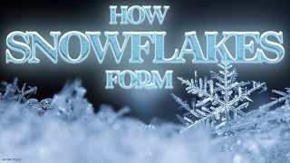 How large snowflakes form