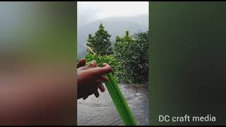 How to make a coconut leaf rocket