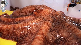 KOREAN STREET FOOD GIANT OCTOPUS DEVIL FISH KOREA SEAFOOD MARKET 포항 송도활어회센터 문어 0