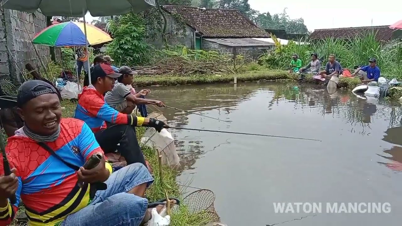 Mancing Mania Terbaru Borongan Senilai 5jt Di Pakem Sleman DIY,isi ...