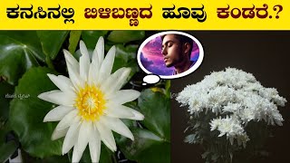 Kanasinalli bili hoovu kandare ⚡ಕನಸಿನಲ್ಲಿ ಬಿಳಿಬಣ್ಣದ ಹೂವು ಕಂಡರೆ.?⚡🌸 white flower dream meaning