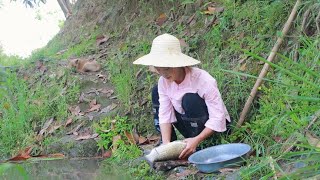 A snail girl was found in the deep mountains of Xiangxi. What dish did she make secretly? The fragr