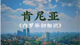 《内罗毕初相识》非洲发展最好的城市之一，但在我看来却缺少一点市井文化。在这里，无论是会展中心，中央车站，本地市场，都隐约透露出一些危险。在这里，请不要靠近任何人