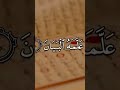 surah rahman quran mutarjim