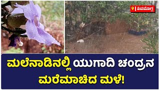 Rain In Shivamogga : ಯುಗಾದಿ ಆರಂಭದ ದಿನದಂದೇ ಮಲೆನಾಡಿನಲ್ಲಿ ವರ್ಷಧಾರೆ | Vijay Karnataka