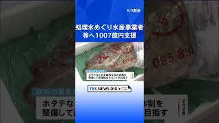 処理水めぐり水産事業者などへ1007億円支援  | TBS NEWS DIG #shorts