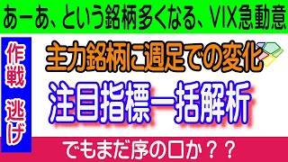 【2/28週間展望】世界市場を支えてきた銘柄に週足での転換多く、再警戒。ＭＡＣＤが週足で売転換となると時間がかかる。債券、ＶＩＸなど注目銘柄総括一覧