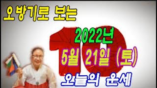 오방기로 보는  2022년 5월  21일 (토요일) 오늘의운세      \