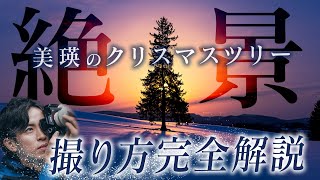 【絶景写真旅】北海道/美瑛のクリスマスツリーの木を激写！