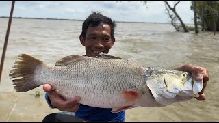 Cầu Được Ước Thấy Hôm Nay Tiếp Tục Dính Cá Chẽm Làm Món Này Ngon Nghe | Vương Quốc Bần | #88