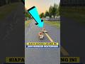 Anjing Yang Pandai Bermain Skateboard. INFOSATWA #shorts