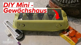 DIY Mini Gewächshaus selber bauen - So EINFACH geht es - KOMPLETTE Anleitung!