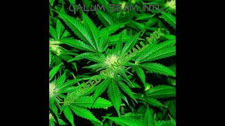420 Dancehall Mix 2022 / Weed Smokers Anthems | 420 Weed Chunes / 420 Dancehall Mix 2022