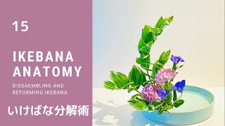 15【ikebana】IKEBANA ANATOMY いけばな分解術