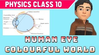 Human eye and colourful world CLASS10 0ne shot #cbse #class10th  #schoolsubject#class10boards #sst