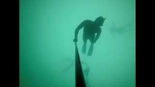 Freediving Edmonds in January 18 Ling season