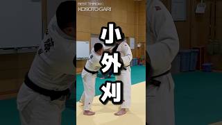 judo technic/ 柔道乱取！東北最強中学生！大人相手に組みまけない柔道！小外刈でぶん投げる！技あり！　#宮城の柔道 #一般柔道 #judo