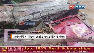 গুৱাহাটীৰ মাজমজিয়াত গজৰাজৰ তাণ্ডৱ। হাতীয়ে ভাঙিলে ঘৰ।