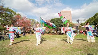 [4K] 月華　おどるんや秋まつり 2018　二の丸会場