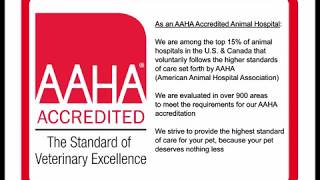 We are AAHA Accredited - Dr. Geoff Landau explains