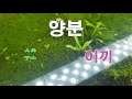 수초어항 한 달 동안 환수 안 하면 어떻게 될까 no water change