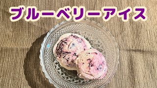 【今日の美味しいさかど飯 #78】ブルーベリーアイス