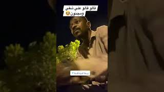 نيازي _ شقى ومجنون