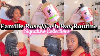 Curly Hair Wash Day Routine FT. Camille Rose Signature Collection | Type 3- Natural Is It Worth It?