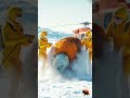 two rescuer woman save polar bear from honeycomb and massive bees polarbear animal animalrescue