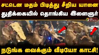 சட்டென மதம் பிடித்து சீறிய யானை; துதிக்கையில் தொங்கிய இளைஞர்.. நடுங்க வைக்கும் வீடியோ காட்சி! | PTD