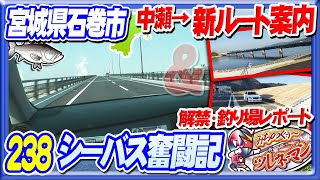 【シーバス奮闘記238】中瀬までの新ルート案内＆解禁・釣り場レポート【北上川】