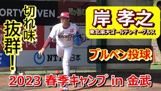 【2023春季キャンプ】岸 孝之投手、ブルペン投球・・・力のある球を投げ込む！