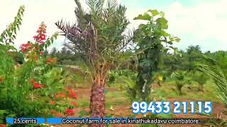 COCONUT FARM LAND FOR SALE IN COIMBATORE, KINATHUKADAVU  PRICE STARTS AT Rs.1,75,000/ CENT