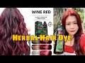 HERBAL HAIR DYE SHAMPOO WINE RED COLOR