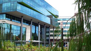 Forest B Video Tour: Growing for Future Grown Ups