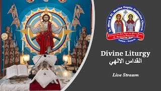 Divine Liturgy (Arabic) - Sat 14 Dec 2024