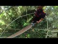 this is taman negara x canopy walkway experience