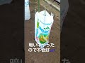 茄子には風対策しましょう