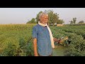 agriculture agriculturefarming farmer efpolymer fasal amrit