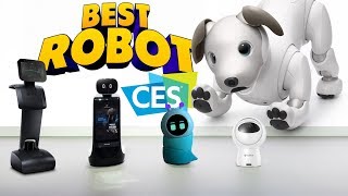 Personal Robot Assistant arrived at CES 2019