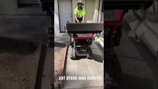 ANT BY800 MINI DUMPER - A LANDSCAPERS BEST FRIEND !