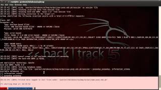 Manual Sql Injection With Back Track 5 (slqmap)
