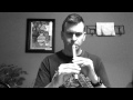 Down by the Salley Gardens : Pennywhistle Cover